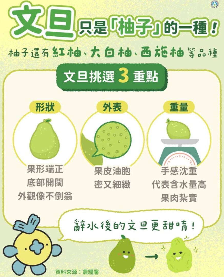 ▲▼教育部表示，大家常把文旦叫成柚子，但其實文旦只是柚子的一種。（圖／教育部提供）