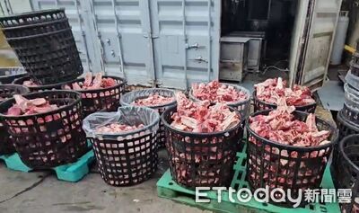 2公噸黑心豬大腸流竄全台　蒼蠅到處飛！加工屠宰場超噁畫面曝