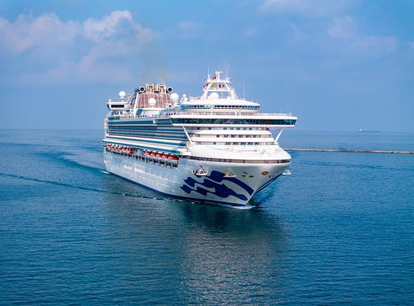 ▲公主遊輪疫情前為台灣占比第二大的郵輪公司。（圖／港務公司提供）