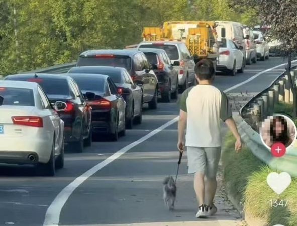 ▲有人下車遛狗、打羽球。（圖／翻攝自微博，上同）