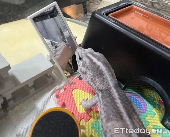 ▲。（圖／Threads@close0207提供，請勿隨意翻拍，以免侵權。）