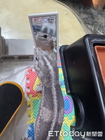 ▲。（圖／Threads@close0207提供，請勿隨意翻拍，以免侵權。）