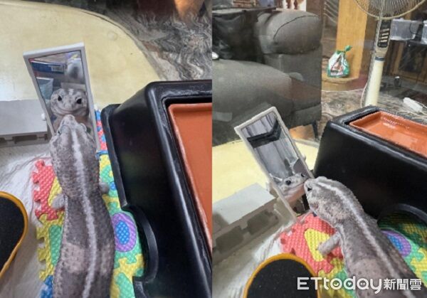 ▲。（圖／Threads@close0207提供，請勿隨意翻拍，以免侵權。）