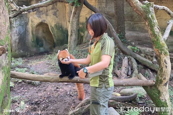 ▲。（圖／臺北市立動物園提供）