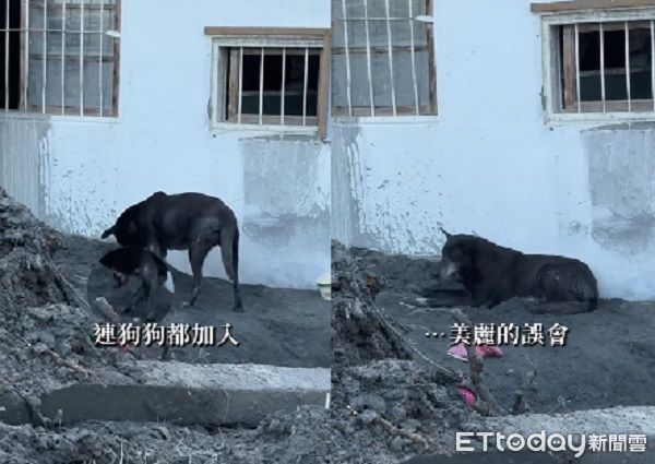 ▲。（圖／Threads@ahnishop提供，請勿隨意翻拍，以免侵權。）