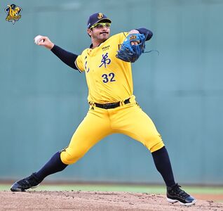 羅戈兩局6上6下防禦率王基本到手 中信5局4比1領先台鋼雄鷹