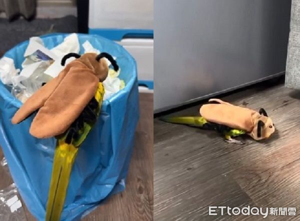 ▲。（圖／Threads@yalin.hh提供，請勿隨意翻拍，以免侵權。）