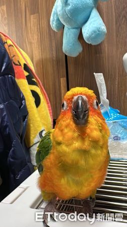 ▲。（圖／Threads@yalin.hh提供，請勿隨意翻拍，以免侵權。）