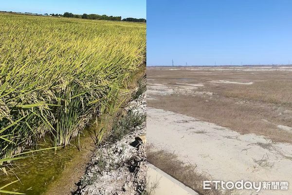 ▲▼ 吉林、台商、改善鹽鹼地            。（圖／記者任以芳攝）