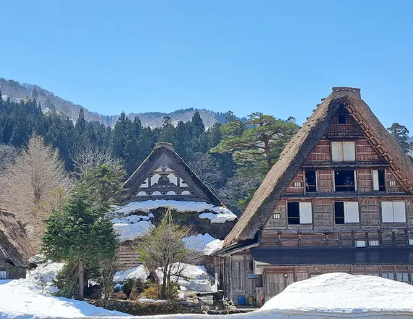 ▲▼日本合掌村「外籍觀光客」遭野熊攻擊！。（圖／白川郷観光協会）