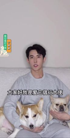 ▲于朦朧兩隻愛犬下落曝光。（圖／翻攝自微博）