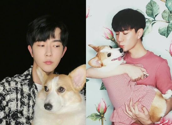 ▲于朦朧兩隻愛犬下落曝光。（圖／翻攝自微博）