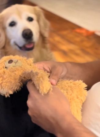 ▲。（圖／翻攝自TikTok／@sara_artdella）