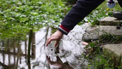 新北產官學螢火蟲生態講座　專家帶路探索發光奧秘