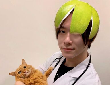 醫曝中秋千萬別讓貓戴柚子帽！2成分會引起過敏　誤舔食恐上吐下瀉