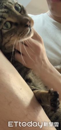 ▲。（圖／Threads@yuchien1223提供，請勿隨意翻拍，以免侵權。）