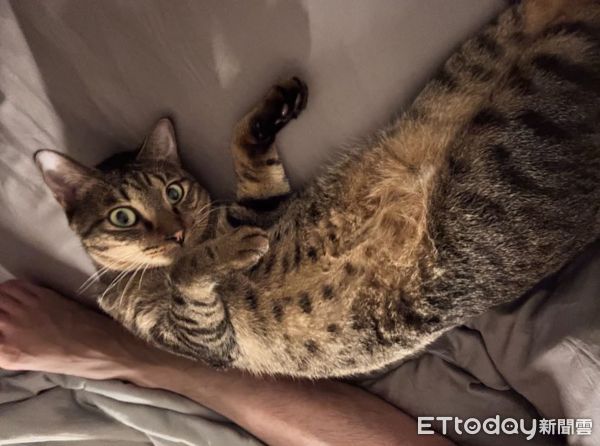 ▲。（圖／Threads@yuchien1223提供，請勿隨意翻拍，以免侵權。）