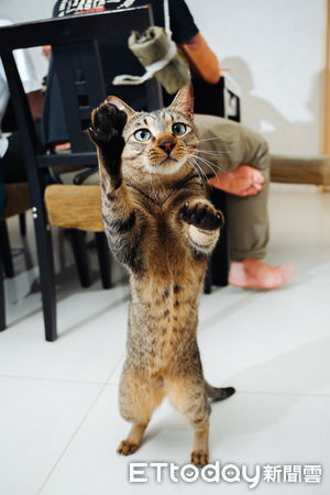 ▲。（圖／Threads@yuchien1223提供，請勿隨意翻拍，以免侵權。）