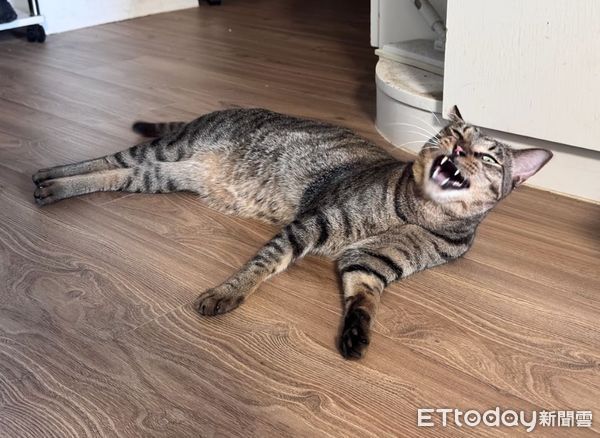 ▲。（圖／Threads@yuchien1223提供，請勿隨意翻拍，以免侵權。）