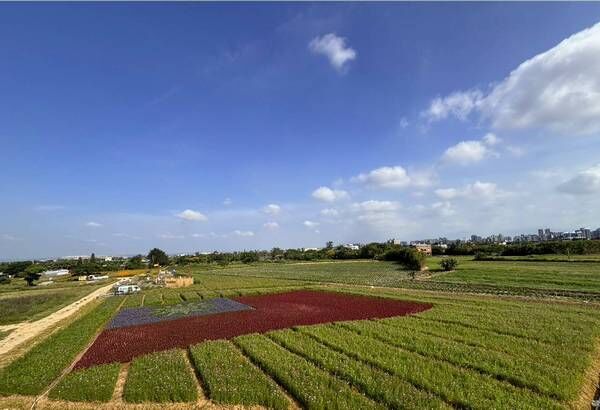▲桃園慶雙十，溪海巨型「國旗花布」限定登場