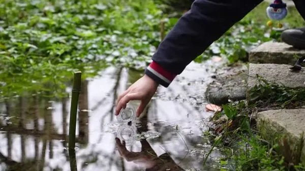 ▲新北產官學螢火蟲生態講座。（圖／新北市農業局提供）