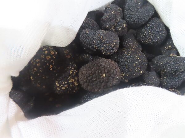 ▲▼邊境查驗不合格。（圖／食藥署提供）