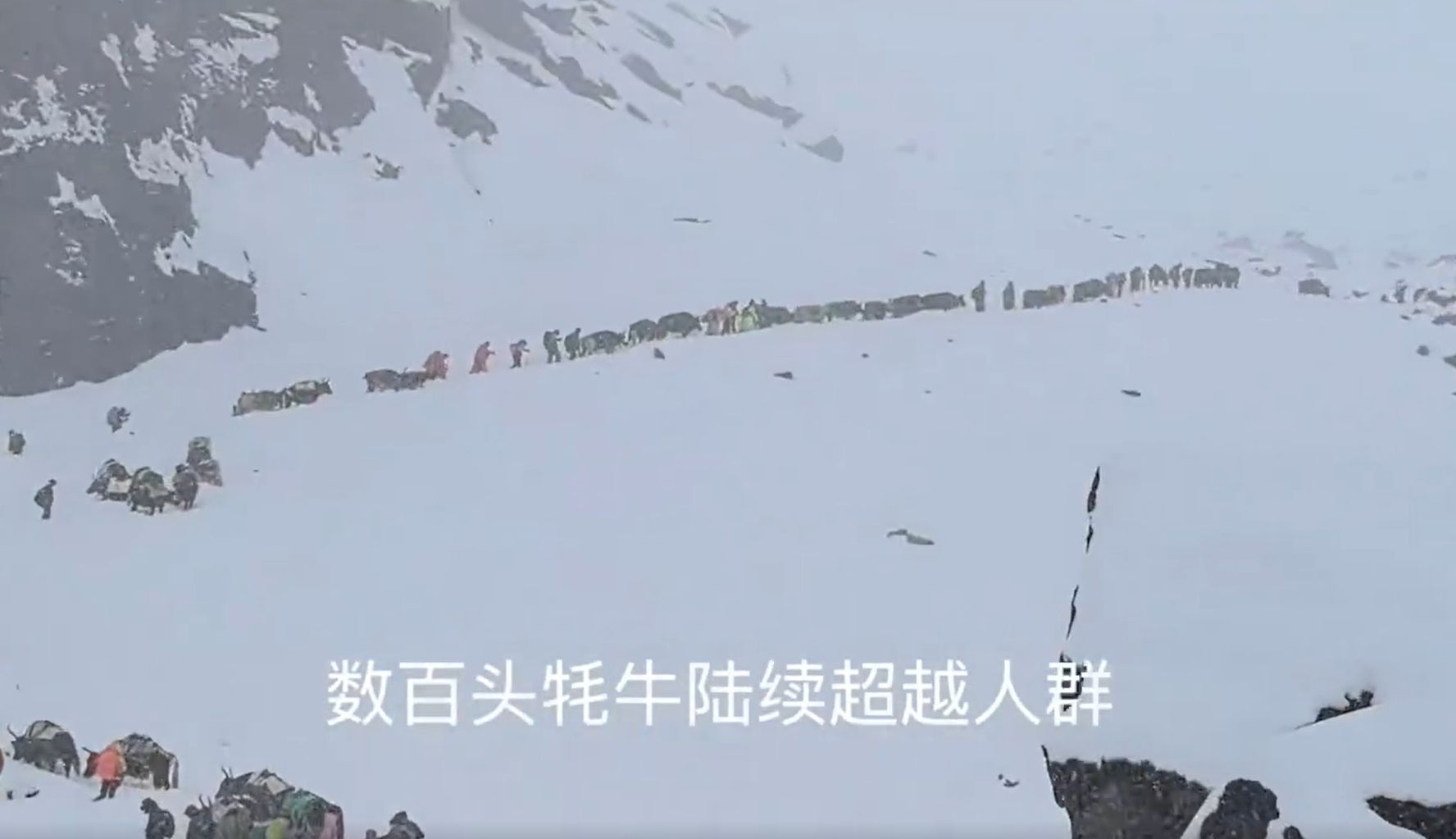 ▲▼近千人困珠峰　登山客「暴雪+閃電中」過夜：死裡逃生 。（圖／翻攝微博）