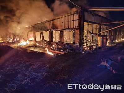 雲林「智慧化養鵝場」大火!3禽舍全毀2千隻鵝燒死 損失千萬