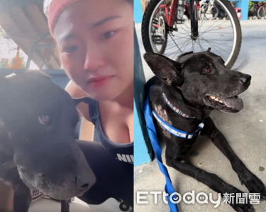 救援站撤場剩下黑狗狗 鏟子超人心疼哭:怎麼可以只有你沒有家