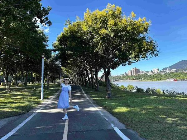 ▲臺灣欒樹化身「臺灣金雨樹」。（圖／高灘處提供）