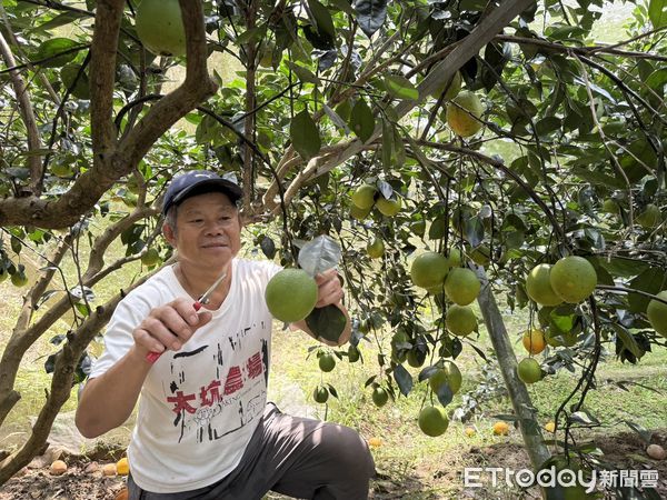▲台南大坑休閒農場「公益送水果」邁入第五年，2000斤水果將專車直送花蓮光復災區，支援重建家園。（圖／記者林東良翻攝，下同）