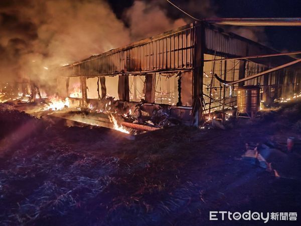 ▲養鵝場陷入火海，2000隻鵝遭燒死。（圖／記者游瓊華翻攝）