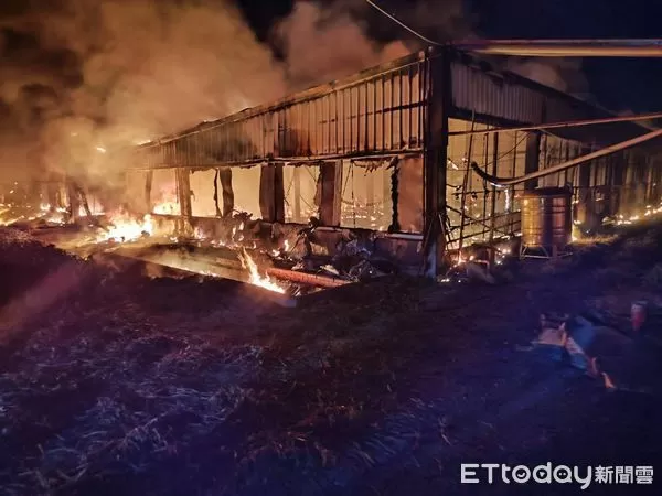 ▲養鵝場陷入火海，2000隻鵝遭燒死。（圖／記者游瓊華翻攝）
