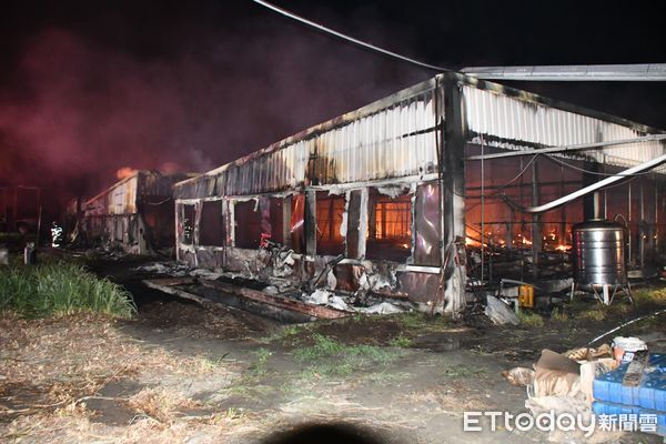 ▲養鵝場陷入火海，2000隻鵝遭燒死。（圖／記者游瓊華翻攝）