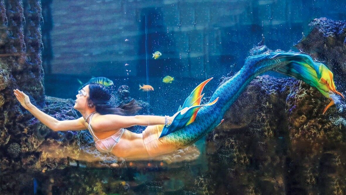 ▲百貨雙十連假加碼促銷。（圖／統一時代、大葉高島屋、美麗華提供）