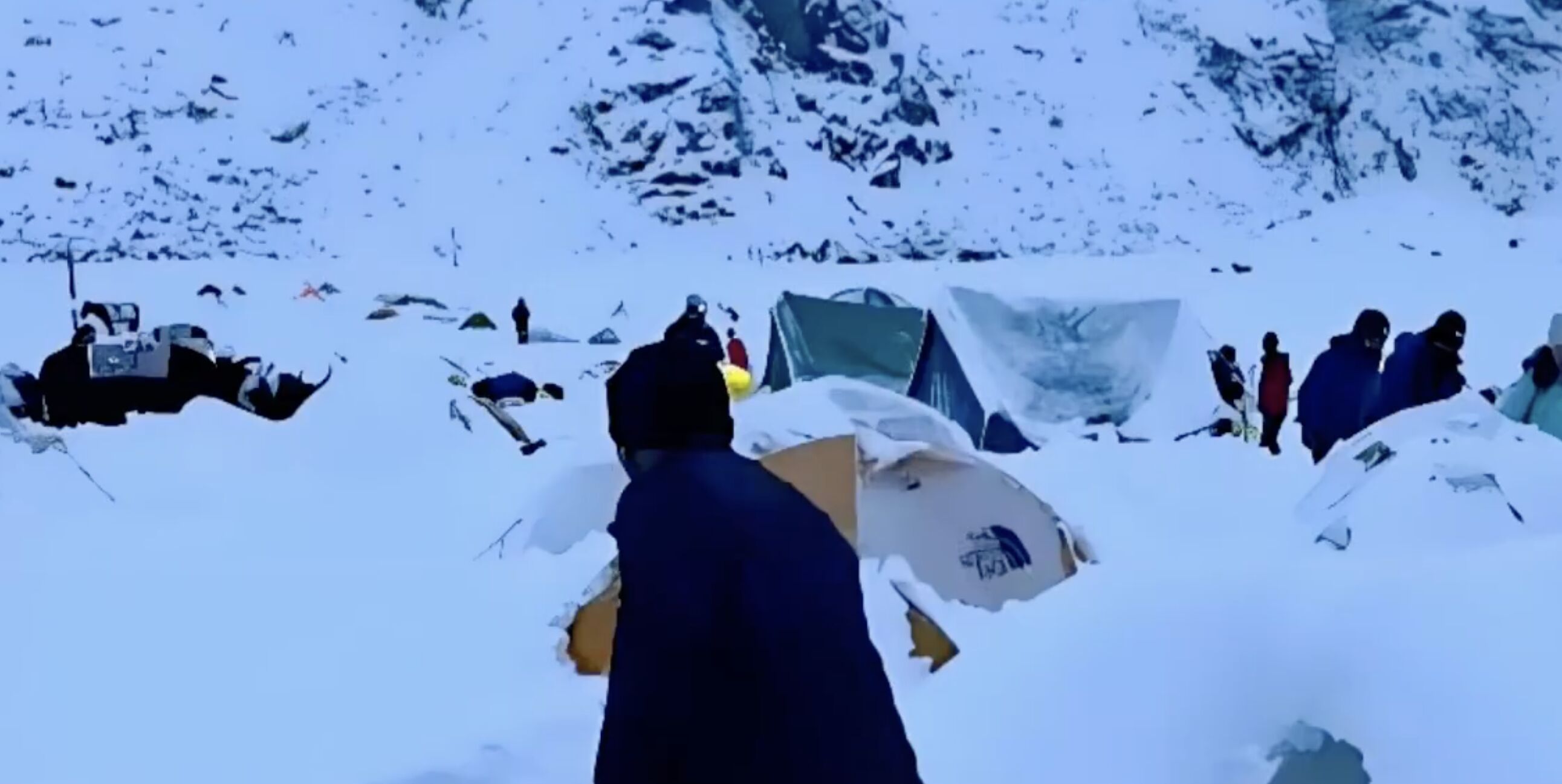 ▲老嚮導一人一狗帶著上百名登山客脫離珠峰暴雪險地安全撤離。（圖／翻攝微博）