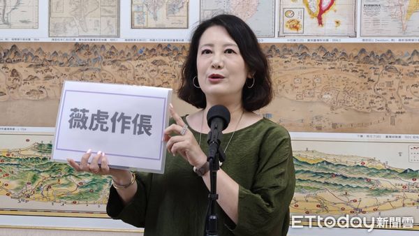 ▲▼民進黨立委吳思瑤。（圖／攝影中心攝）