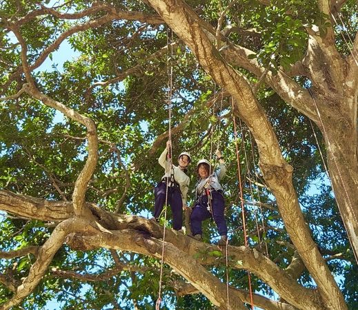 ▲▼台南山上花園水道博物館。（圖／翻攝自台南山上花園水道博物館臉書專頁）