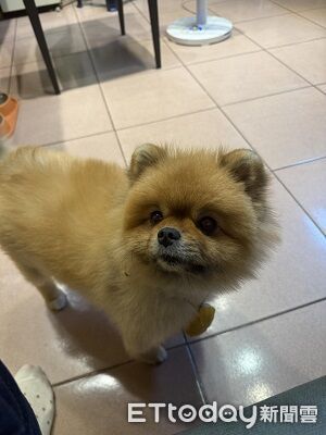 ▲。（圖／Threads@icexanna提供，請勿隨意翻拍，以免侵權。）