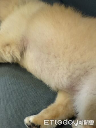 ▲。（圖／Threads@icexanna提供，請勿隨意翻拍，以免侵權。）