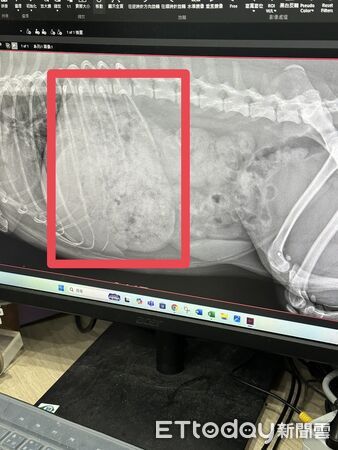 ▲。（圖／Threads@icexanna提供，請勿隨意翻拍，以免侵權。）