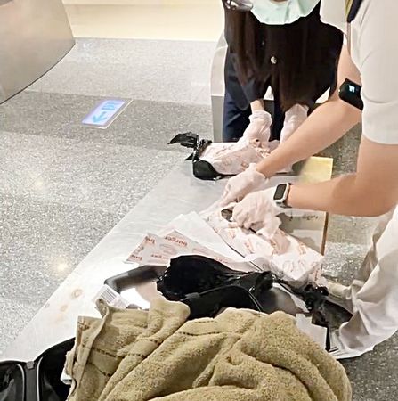 ▲航警局今年6月間會同海關在桃園機場第一航廈查驗托運行李有異，當場勘驗查獲夾藏一級毒品海洛因。（圖／航警局提供）