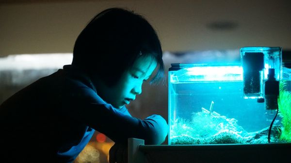 ▲《抓耙仔》鄭又菲入圍本屆金片子大賽最佳女演員。（圖／台北市電影委員會提供）