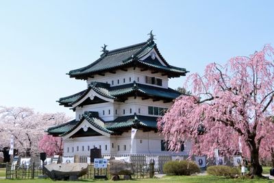 青森弘前城天守閣11月底起暫停參觀