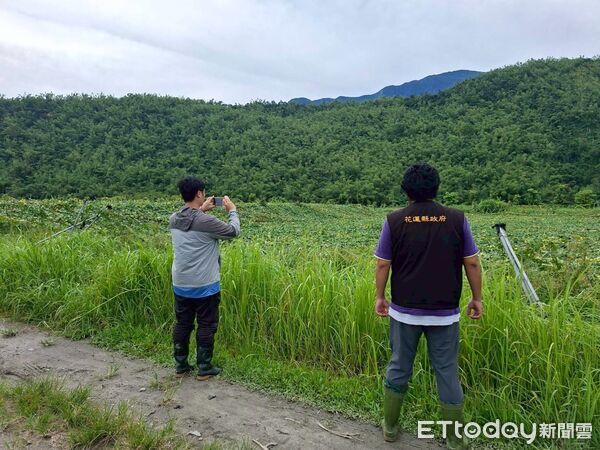 ▲受樺加沙颱風侵襲，花蓮縣壽豐鄉、鳳林鎮部水平棚架網室有倒塌、結構受損災情。（圖／花蓮縣政府提供）