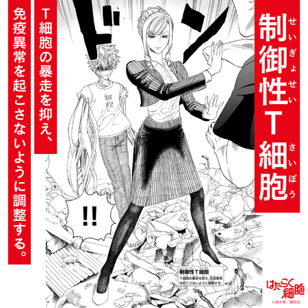 ▲▼日學者發現「調節性T細胞」得諾貝爾！網全想起《工作細胞》。（圖／翻攝自X）