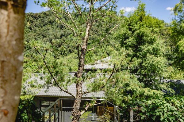 ▲▼春秋山林。（圖／部落客黑皮的旅遊筆記授權提供）