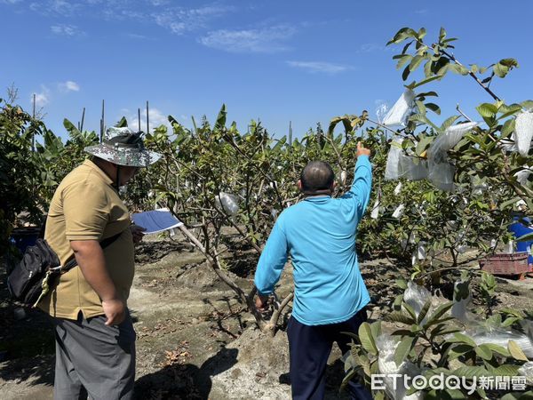 ▲新園鄉公所徵求儲備植物醫師。（圖／新園鄉公所提供）