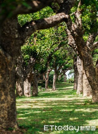 ▲高雄果嶺自然公園             。（圖／記者吳奕靖翻攝）