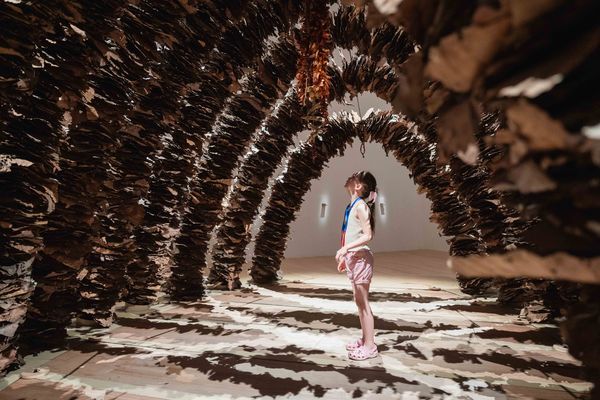 ▲▼        新北國慶     。（圖／新北市政府）